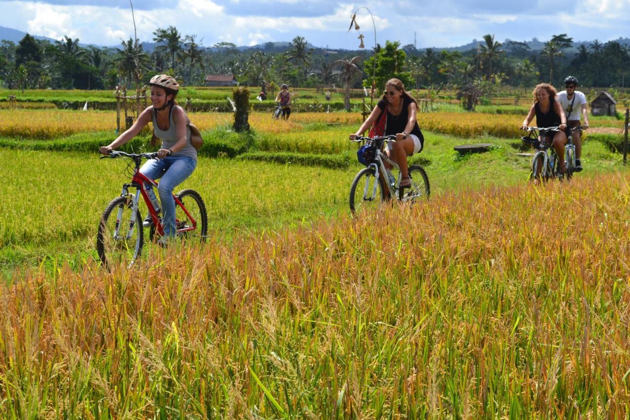 Bali Culture Guesthouse Ubud Zewnętrze zdjęcie