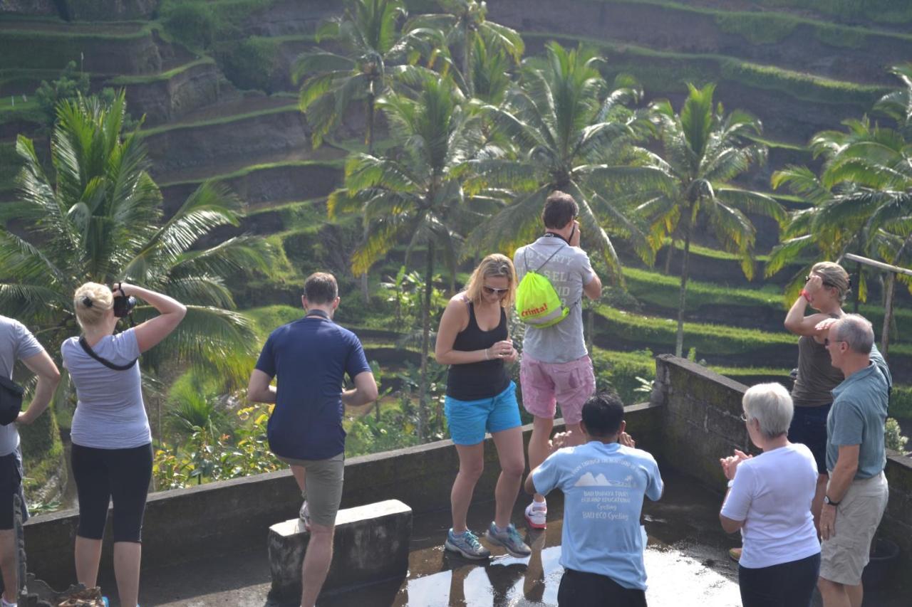 Bali Culture Guesthouse Ubud Zewnętrze zdjęcie